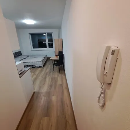 V Karlovych Varech Pro 2 Osoby, Ulice Mladeznicka Apartment