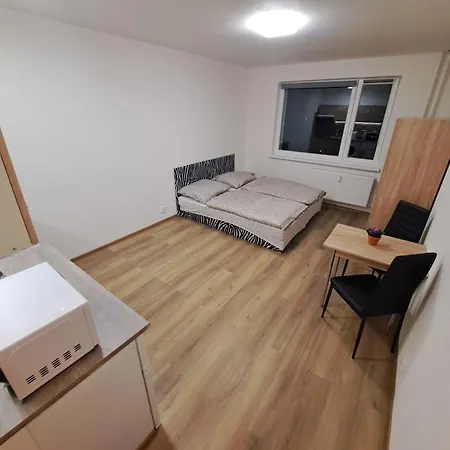 Apartment V Karlovych Varech Pro 2 Osoby, Ulice Mladeznicka
