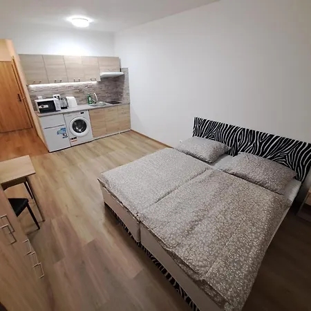 V Karlovych Varech Pro 2 Osoby, Ulice Mladeznicka *